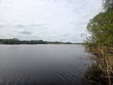 #1425. Парашино. Участок 40 соток под строительство дома на 1-й линии Жабни.