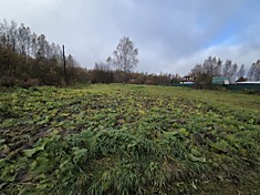 #1398. Заручье. Участок 15 соток с выходом к берегу Жабни.