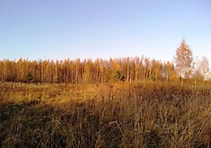 #794. Дорохино. Участок 18 соток под строительство дома.