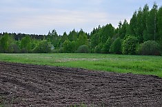 #1332. Носатово. Участок 62 сотки вблизи Жабни под жилую застройку.