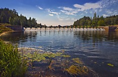 #1415. Верхняя Троица. Участок 15 соток на 2-й линии Медведицы.