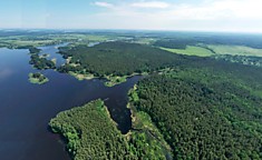 #779. Алексино. Участок 20 соток под строительство дома.