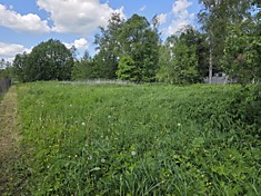 #1369. Зыковская. Участок 38 соток под строительство дома.