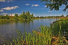 #1315. Аверково. Участок 41 сотка в верховье Жабни.